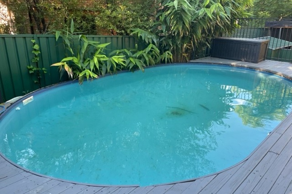paradise pools reviews